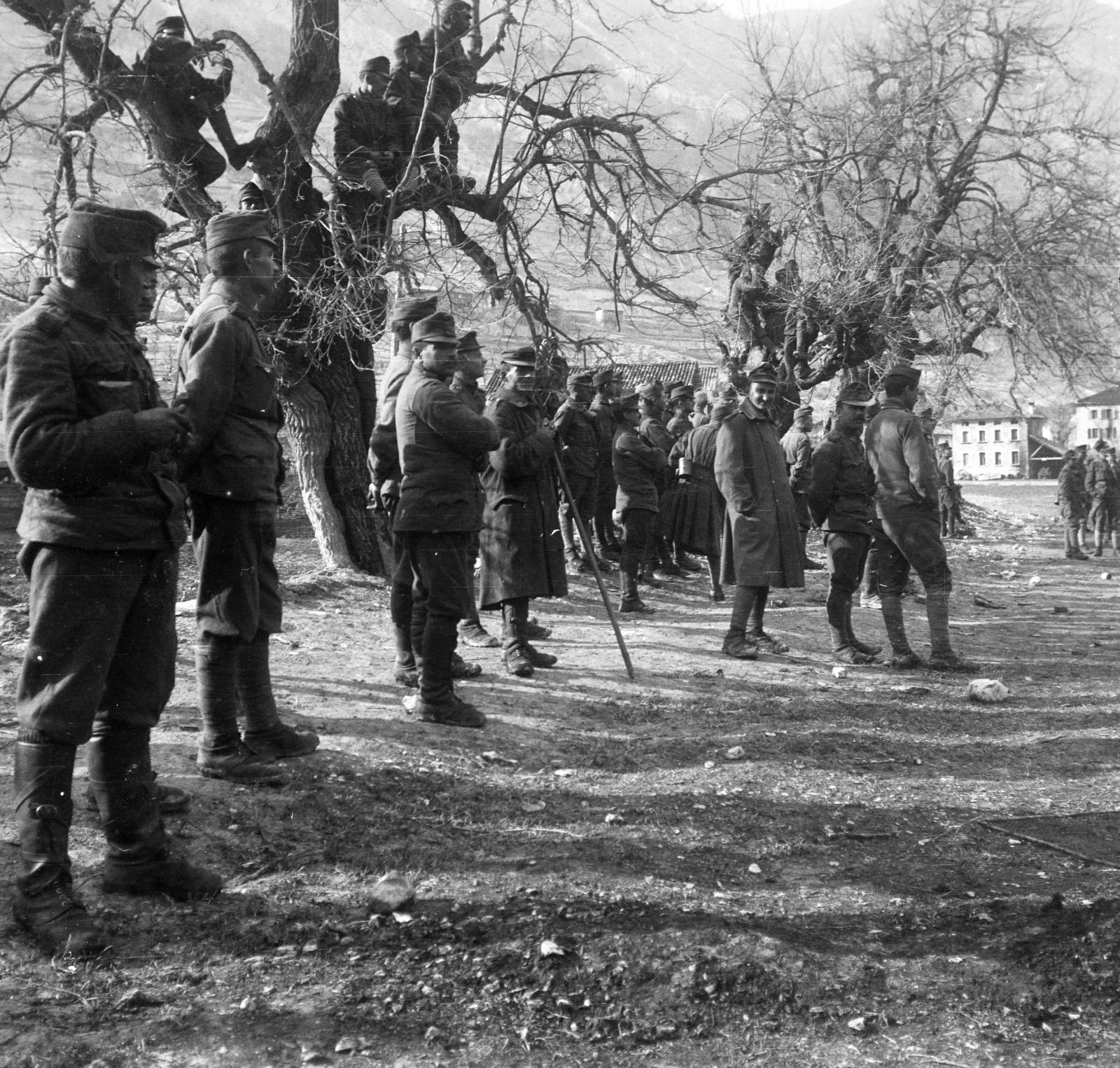 1917, Urbánné dr. Lux Judit, army, curiosity, photo aspect ratio: square, First World War, Fortepan #294740