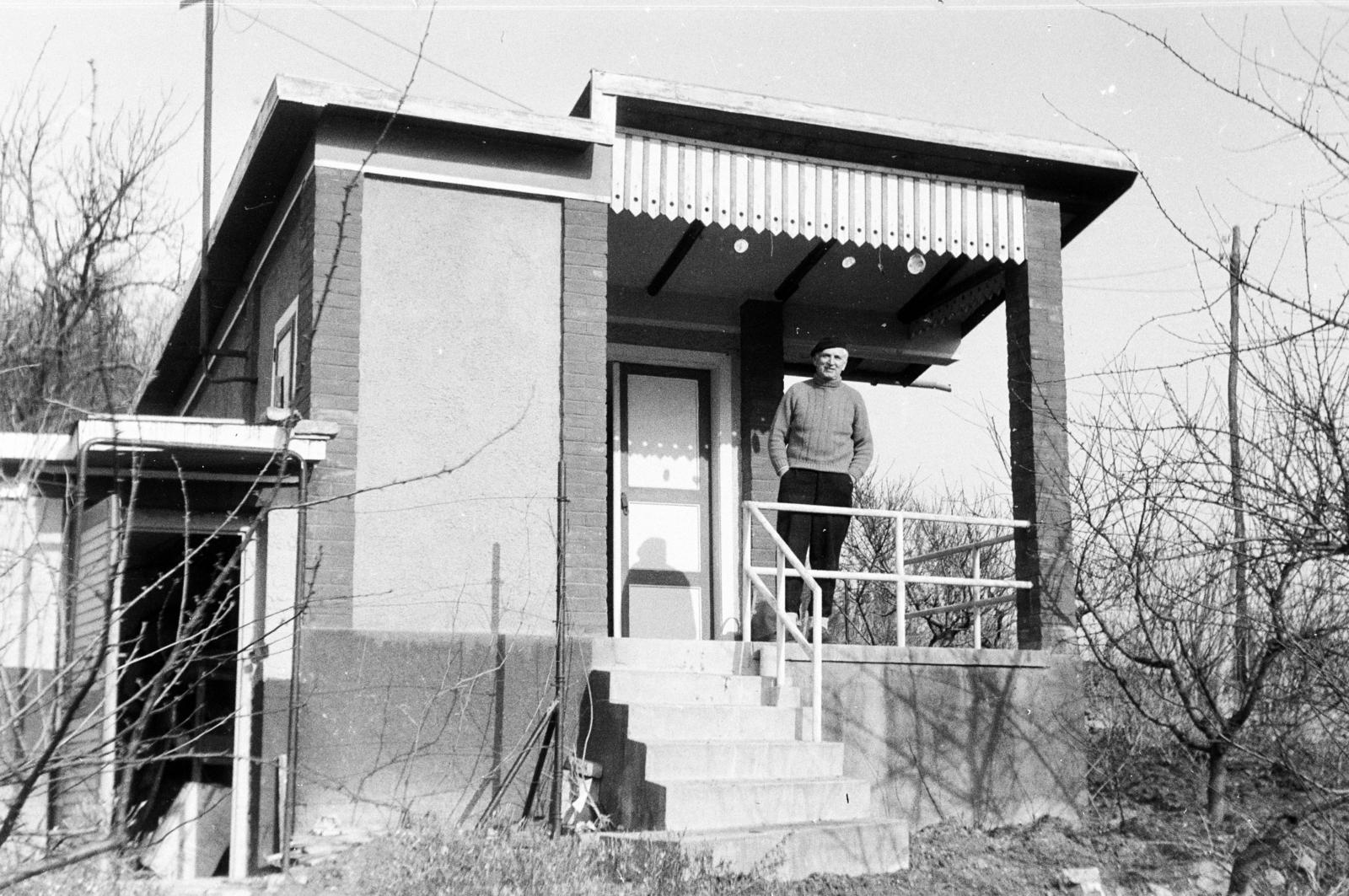1964, Szilágyi Lajosné, Fortepan #294811