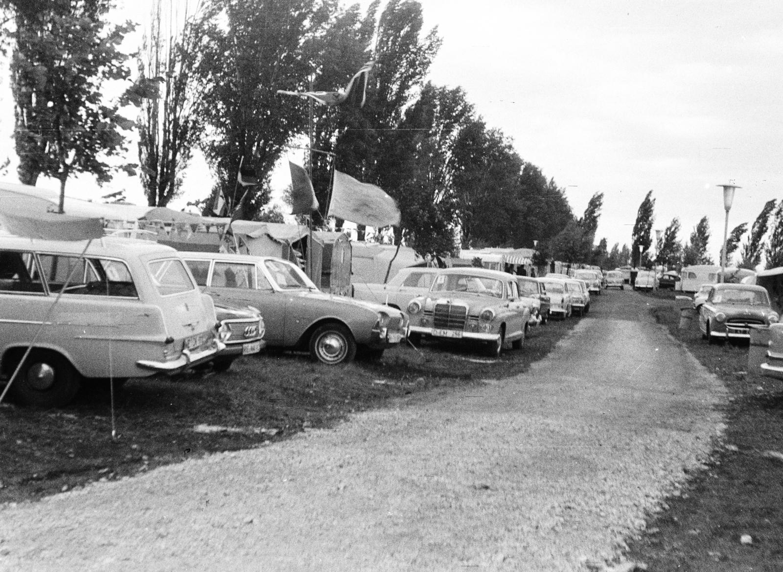 1964, Szilágyi Lajosné, Fortepan #294812