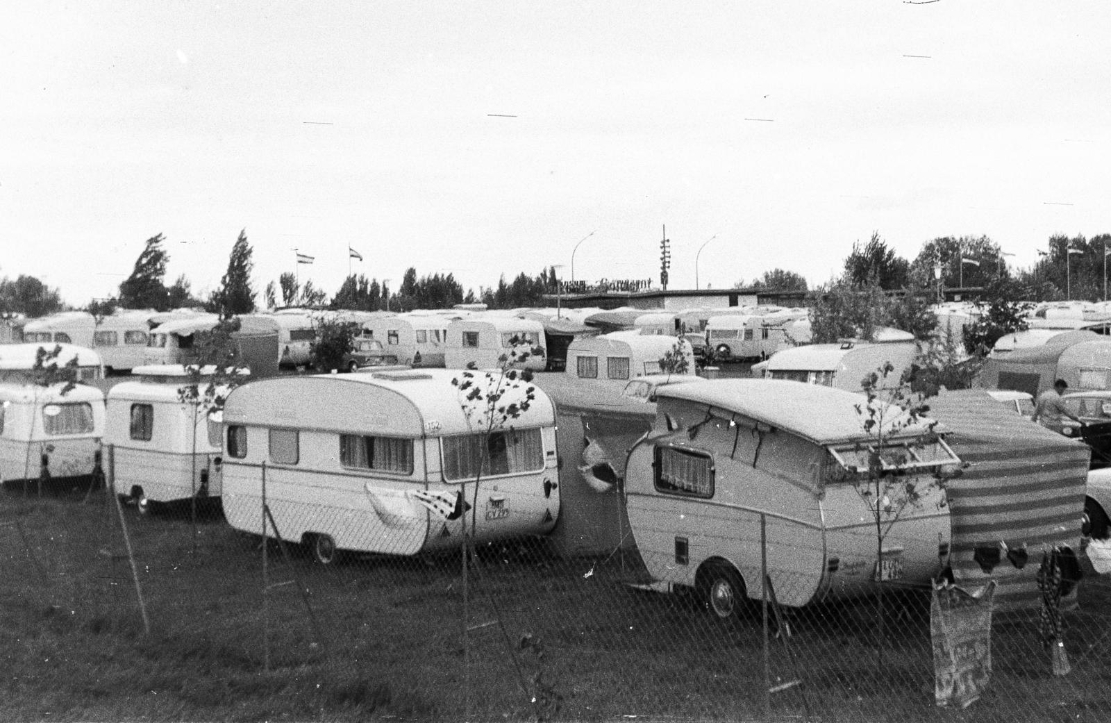 1964, Szilágyi Lajosné, Fortepan #294816