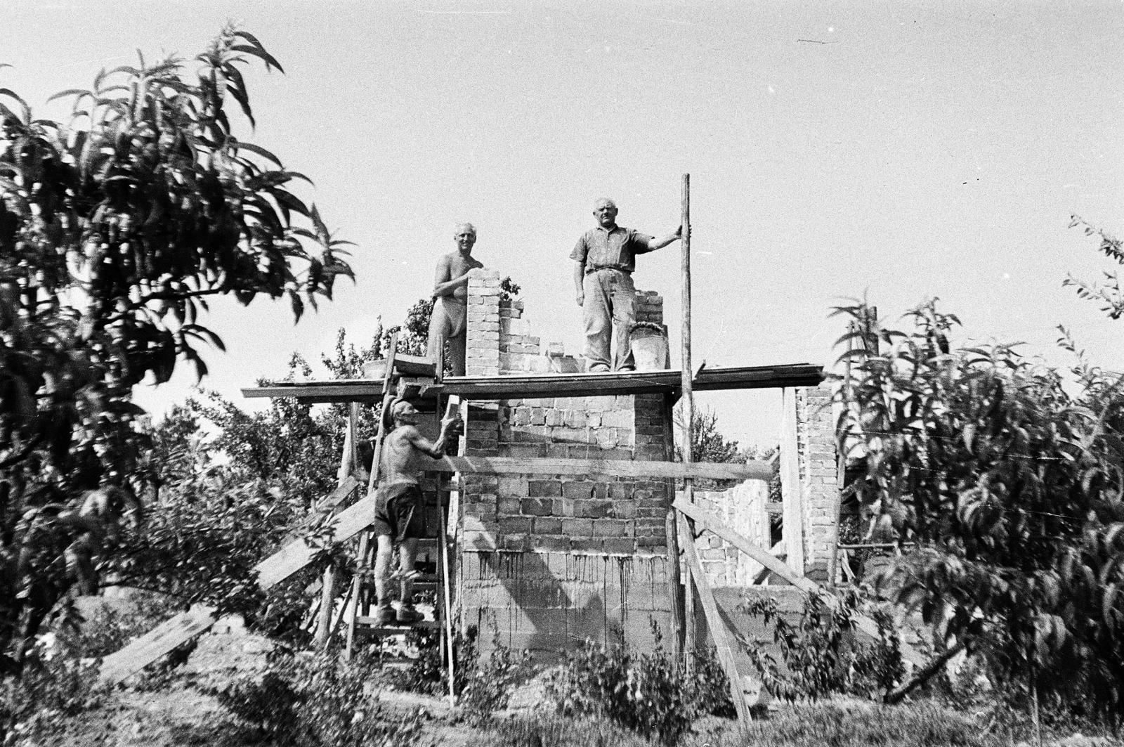 1963, Szilágyi Lajosné, Fortepan #294856