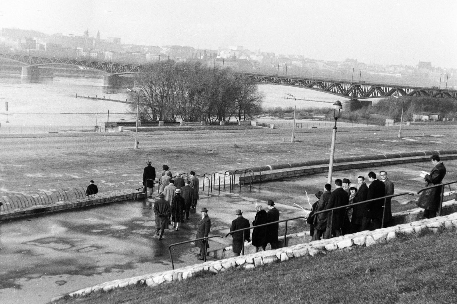 1964, Szilágyi Lajosné, Fortepan #294863