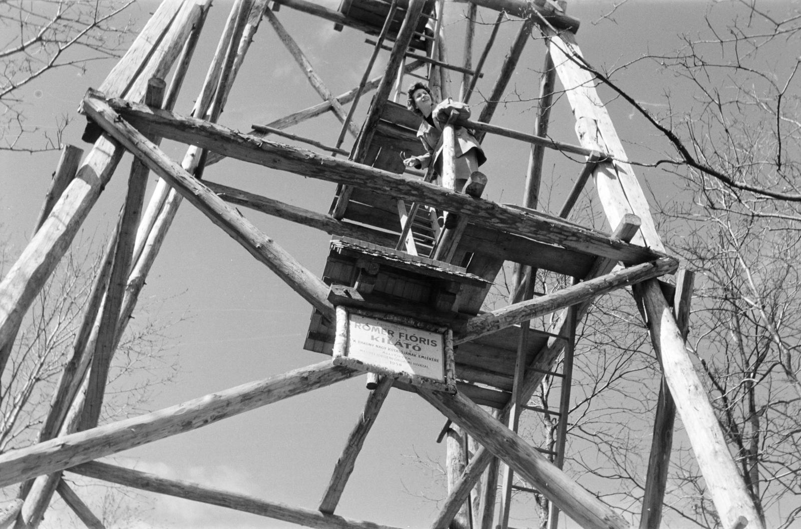 Magyarország, Porva, Zörög-tető, Rómer Flóris-kilátó., 1966, Szilágyi Lajosné, Fortepan #294882