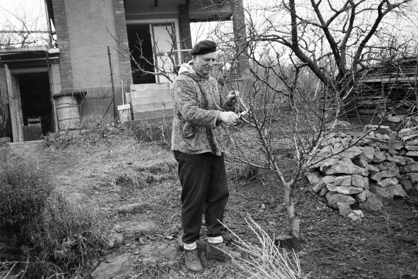 1969, Szilágyi Lajosné, kertápolás, kertészkedés, metszőolló, Fortepan #294891
