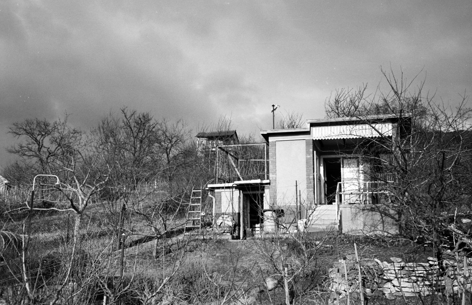 1969, Szilágyi Lajosné, Fortepan #294892