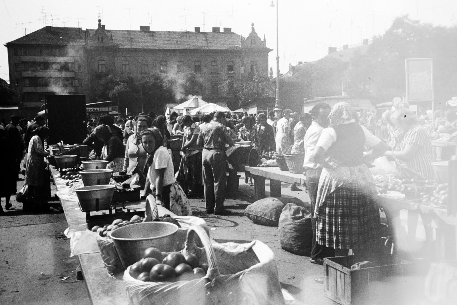 1966, Szilágyi Lajosné, Fortepan #294896