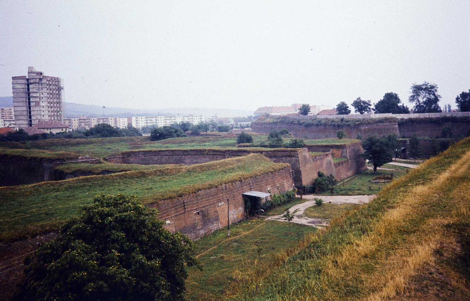 1974, Szilágyi Lajosné, Fortepan #294898