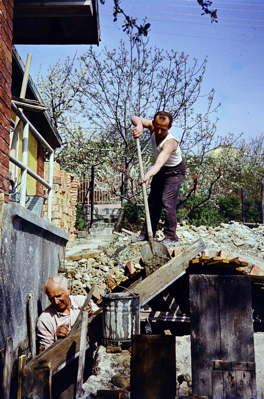 1972, Szilágyi Lajosné, Fortepan #294929