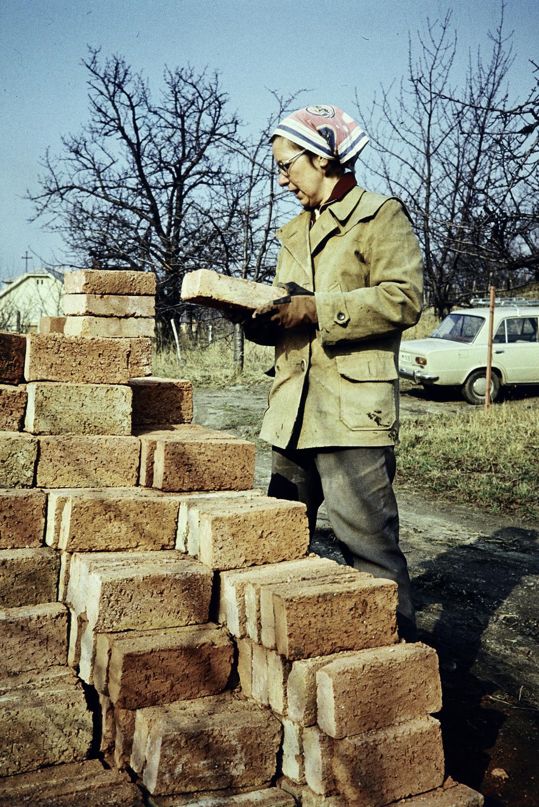 1972, Szilágyi Lajosné, Fortepan #294930