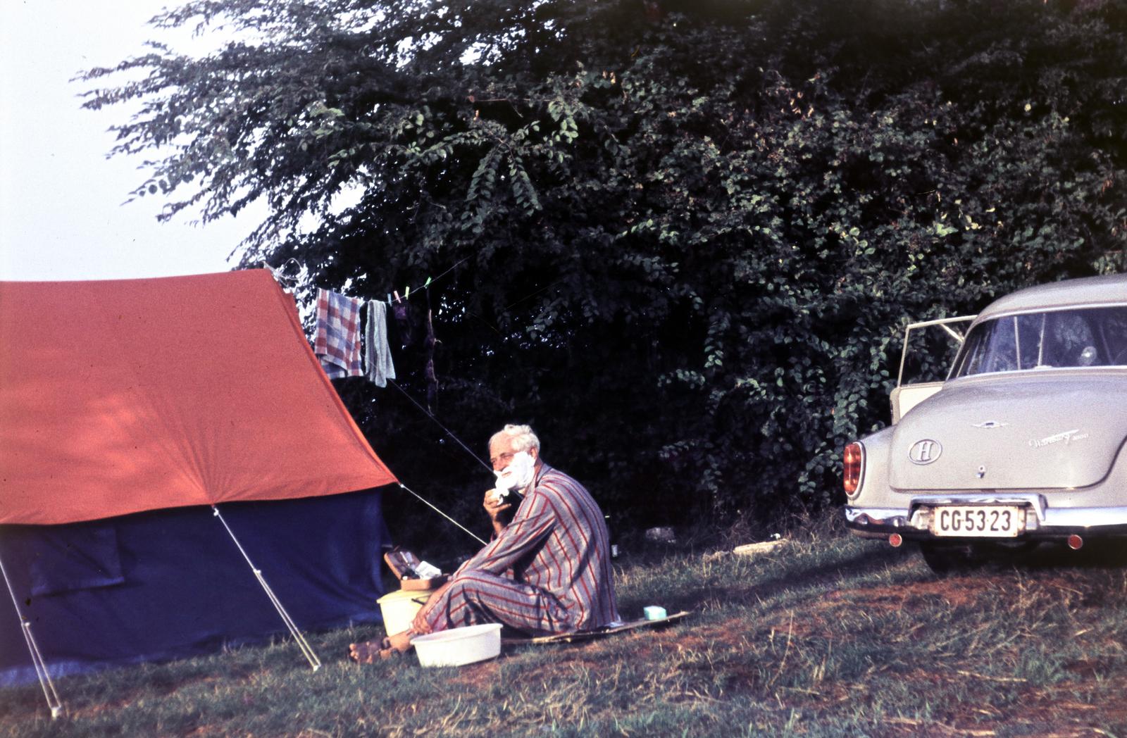 1967, Szilágyi Lajosné, Wartburg 311/312, rendszám, Fortepan #294939