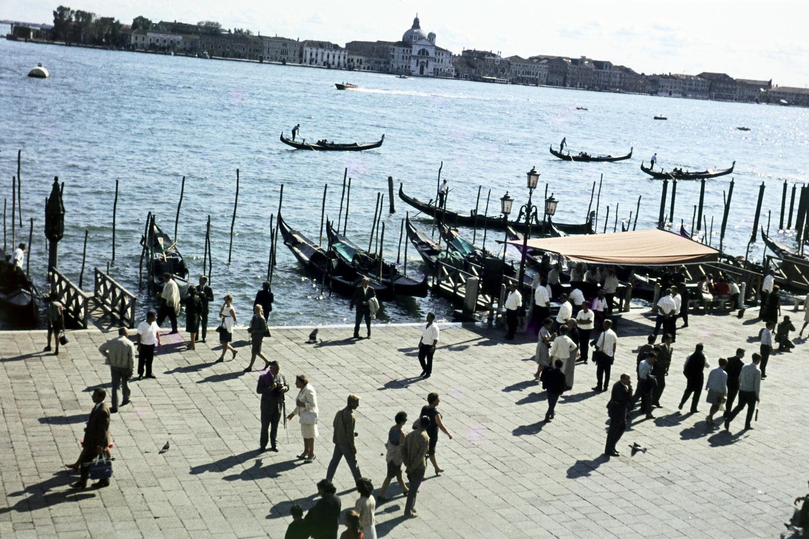 1968, Szilágyi Lajosné, Fortepan #294945