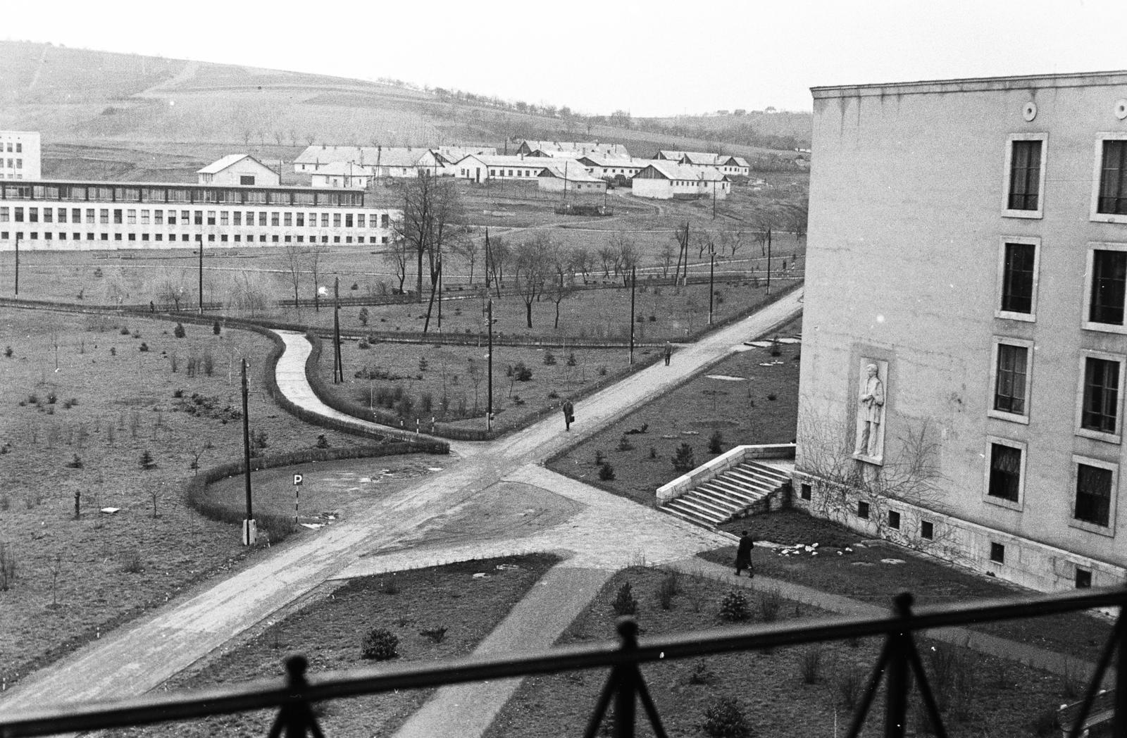 Magyarország, Miskolc, Egyetemváros, Nehézipari Műszaki Egyetem (később Miskolci Egyetem), jobbra az E/3-as kollégium épülete az "Eper utcában". A homlokzaton Borsos Miklós szobrászművész 1956-ban felavatott domborműve., 1958, Török Kálmán, Fortepan #294960