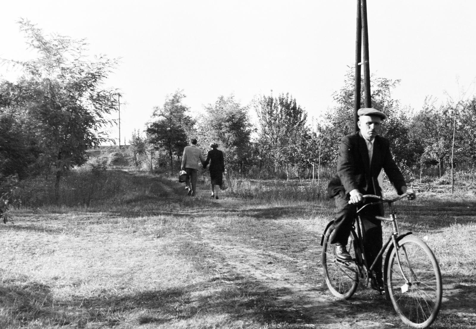 1958, Török Kálmán, bicycle, Fortepan #294963