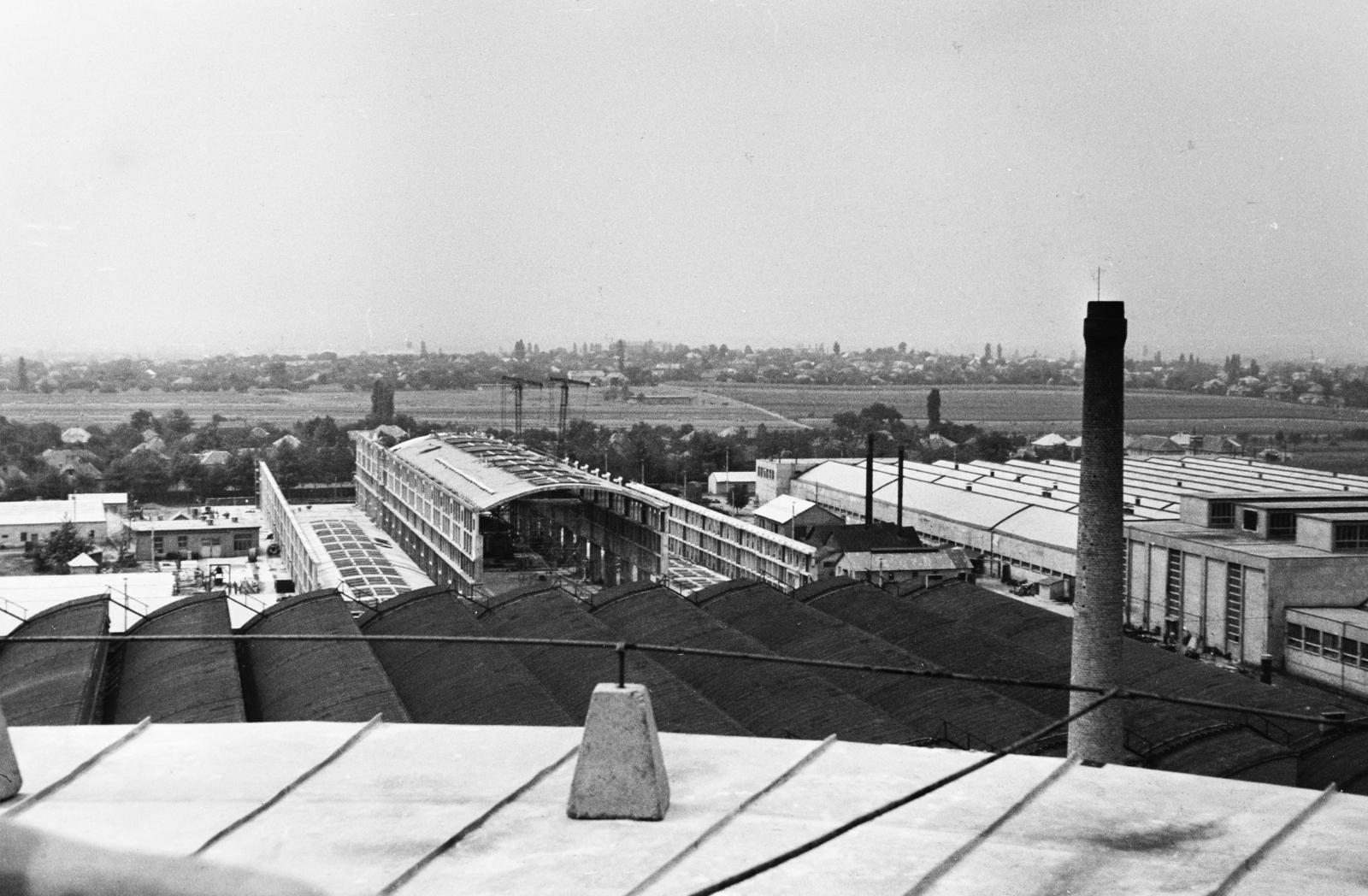 1957, Török Kálmán, Fortepan #294985