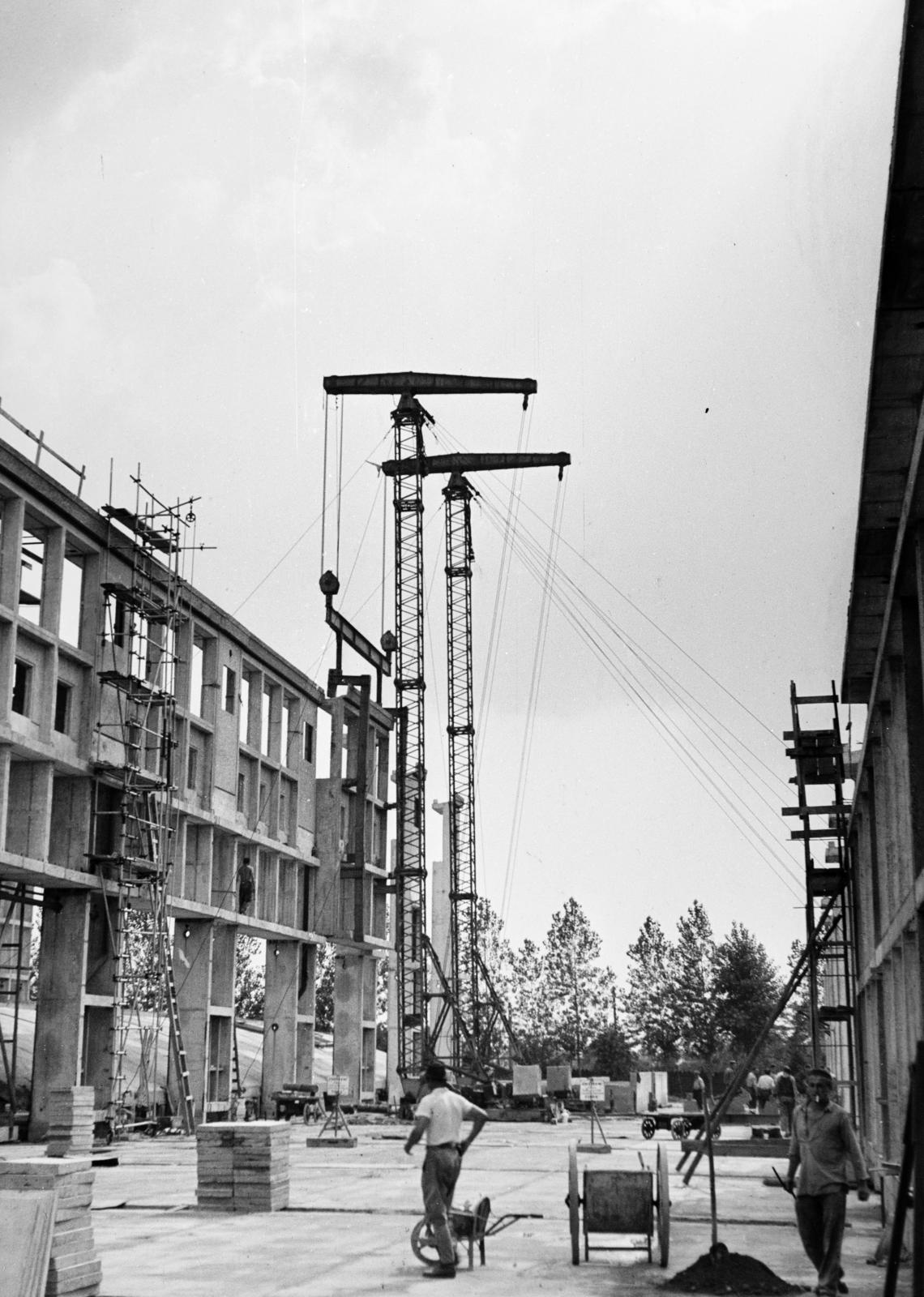 1957, Török Kálmán, Fortepan #294992