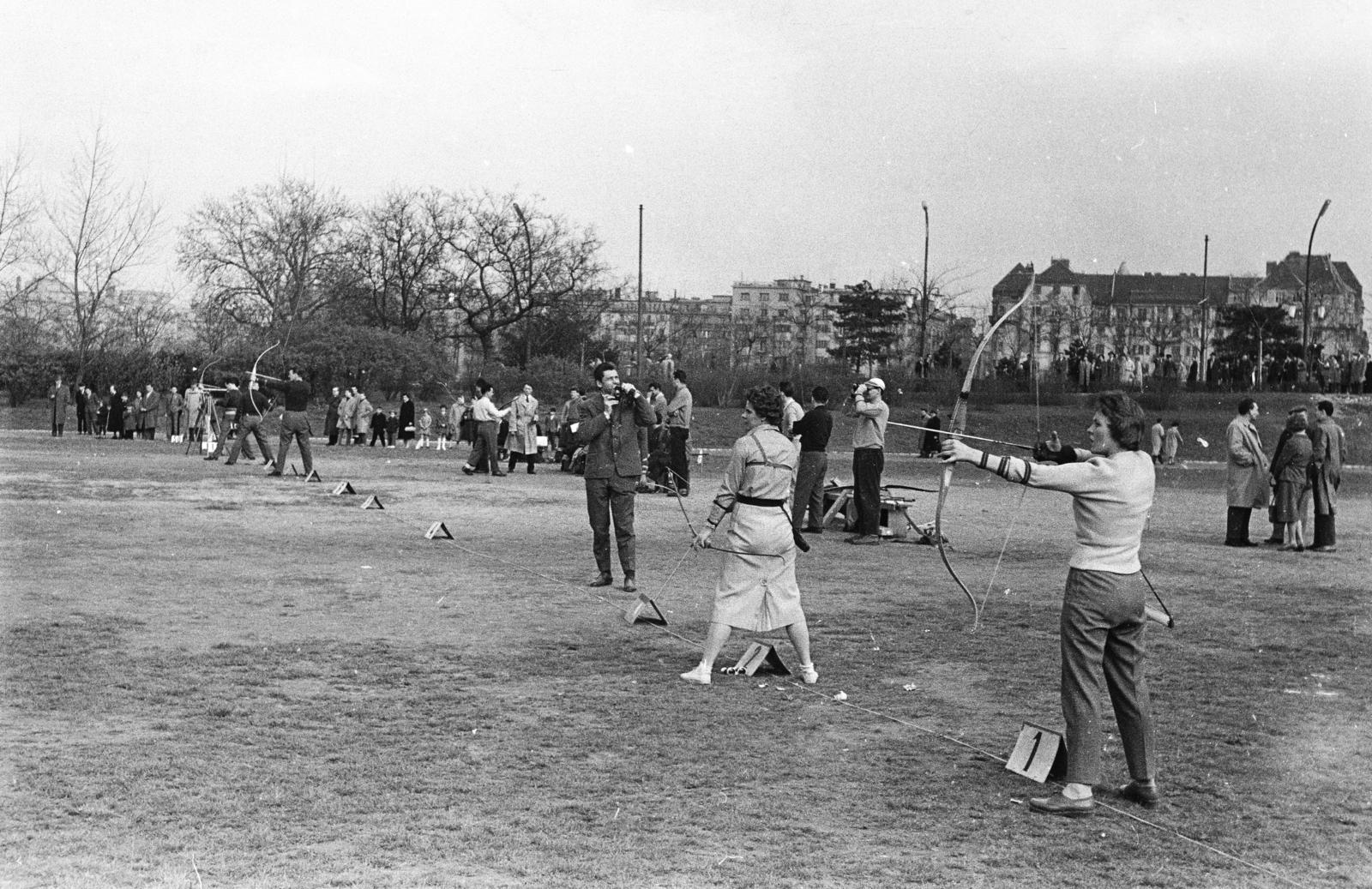 1958, Török Kálmán, íjászat, Fortepan #294999
