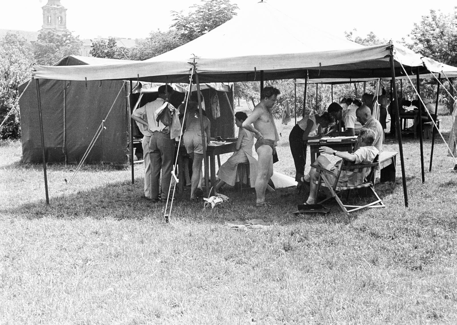 1960, Török Kálmán, Fortepan #295047