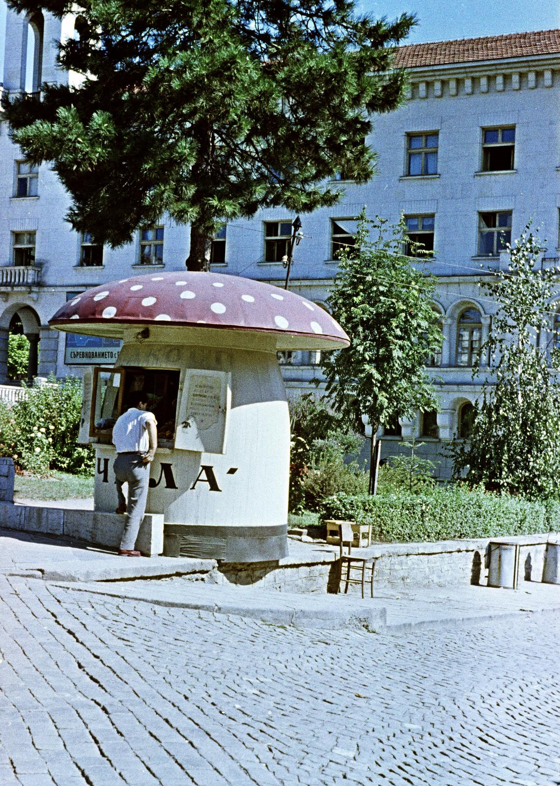 1963, Török Kálmán, Fortepan #295073