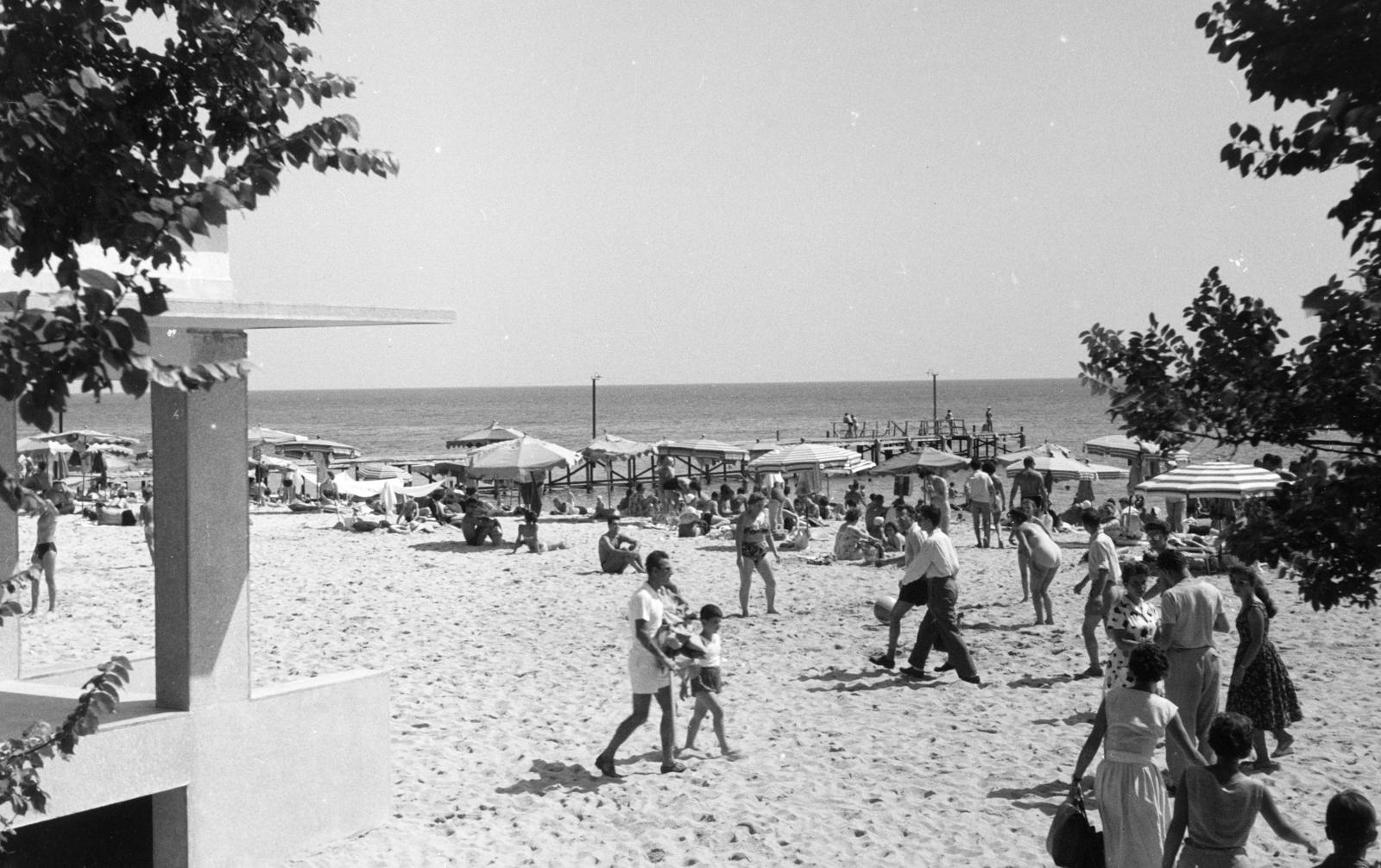 1963, Török Kálmán, Fortepan #295076