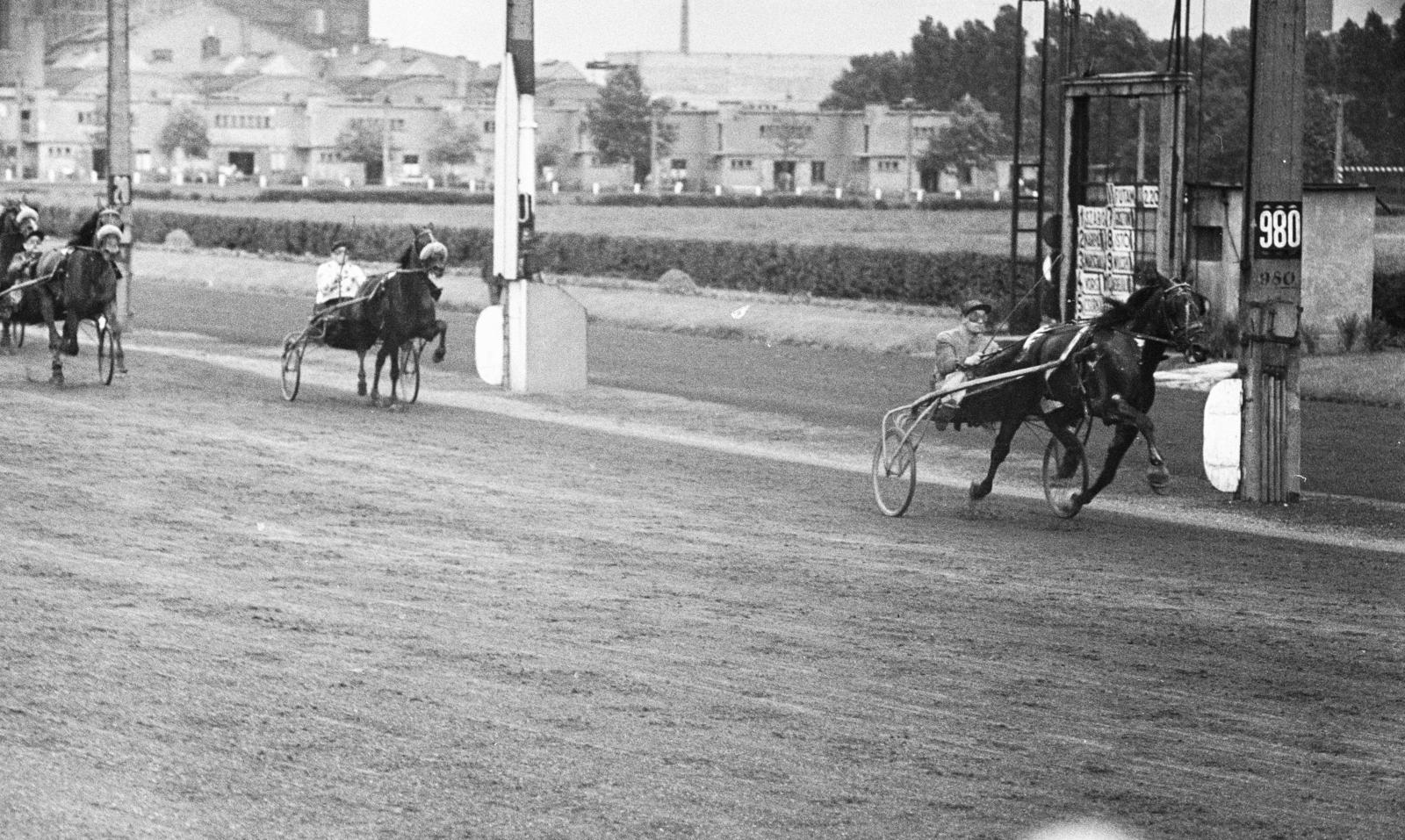1963, Török Kálmán, Fortepan #295087