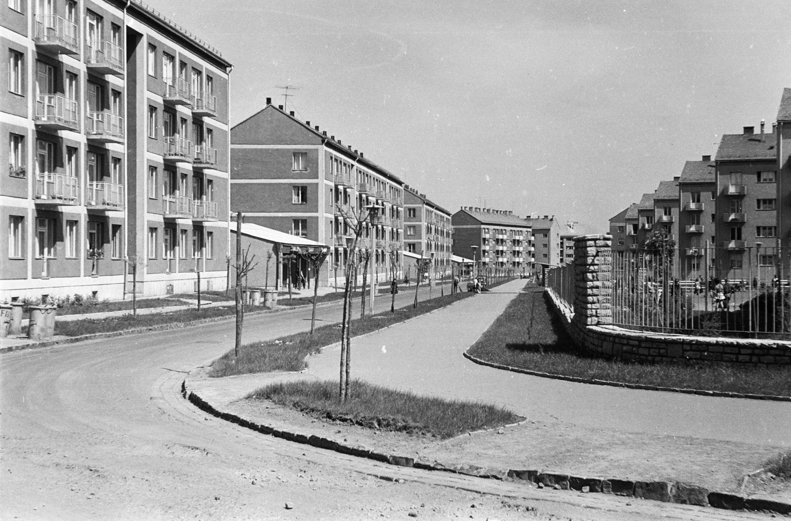 Hungary, Uránváros, Pécs, Kőrösi Csoma utca., 1964, Török Kálmán, Fortepan #295091