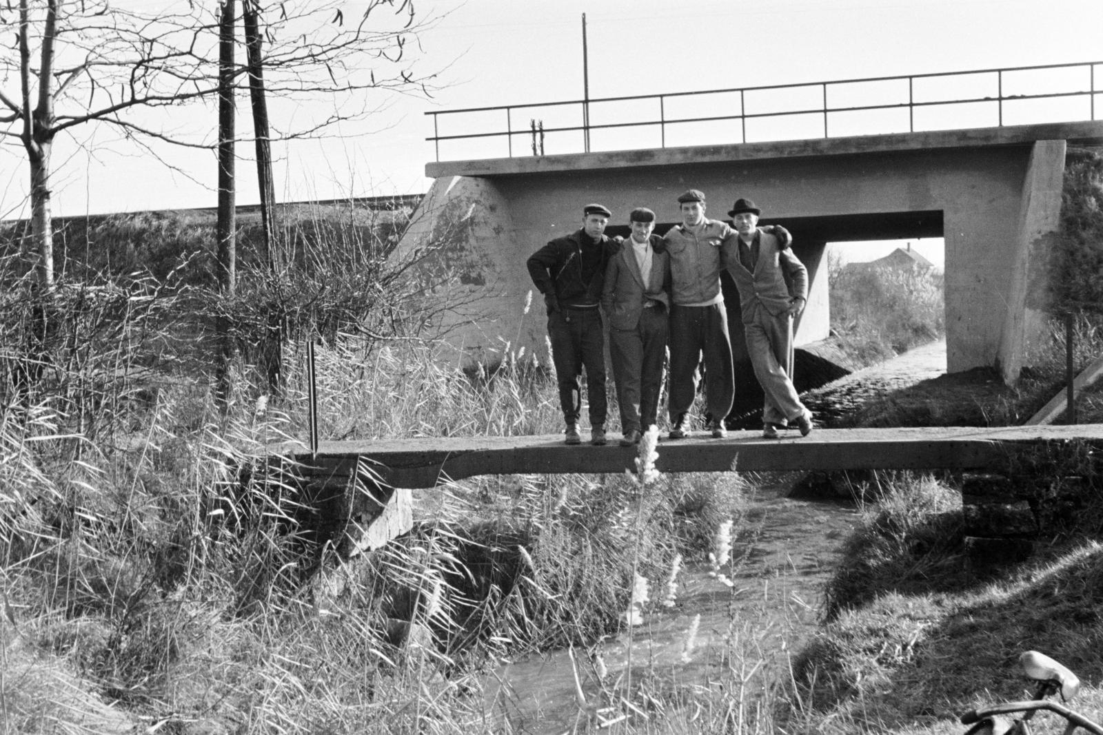 1961, Török Kálmán, Fortepan #295142