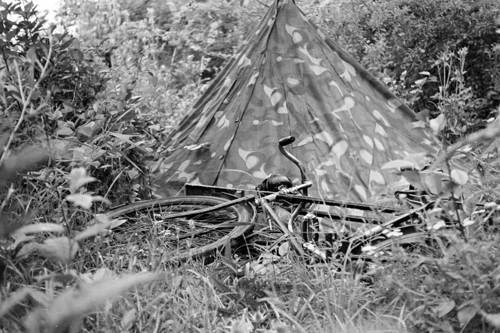 1958, Török Kálmán, tent, bicycle, Fortepan #295162