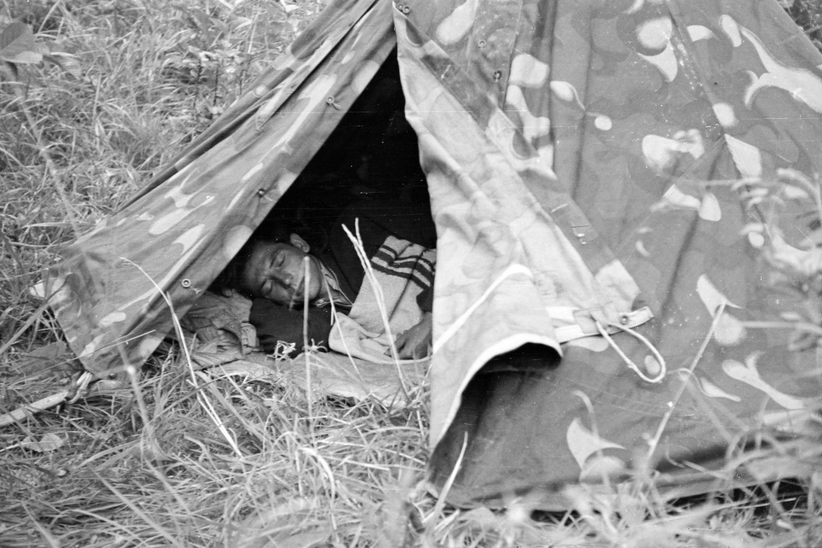 1958, Török Kálmán, tent, Fortepan #295163