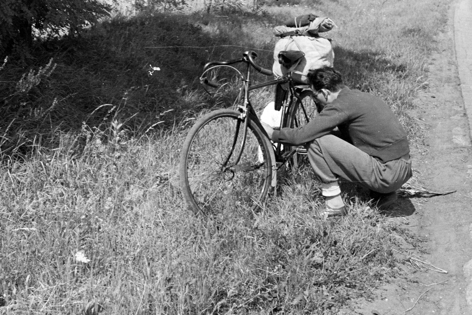 1958, Török Kálmán, bicycle, Fortepan #295167