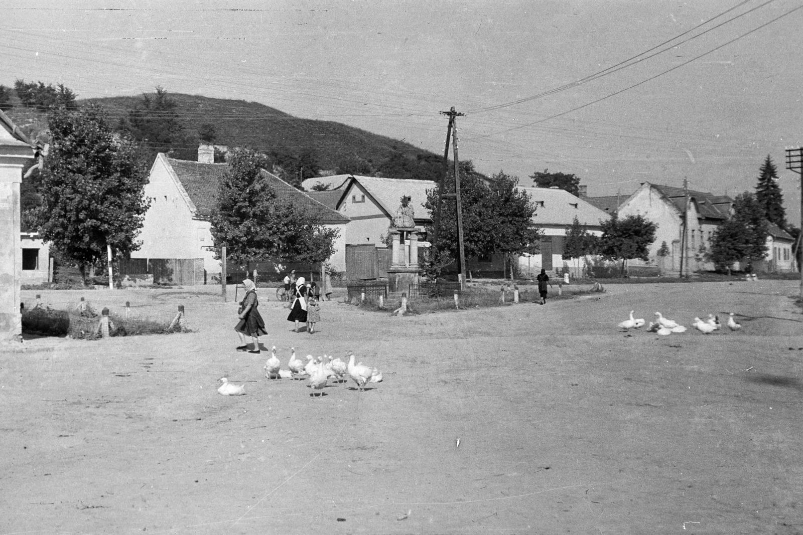 1958, Török Kálmán, Fortepan #295172