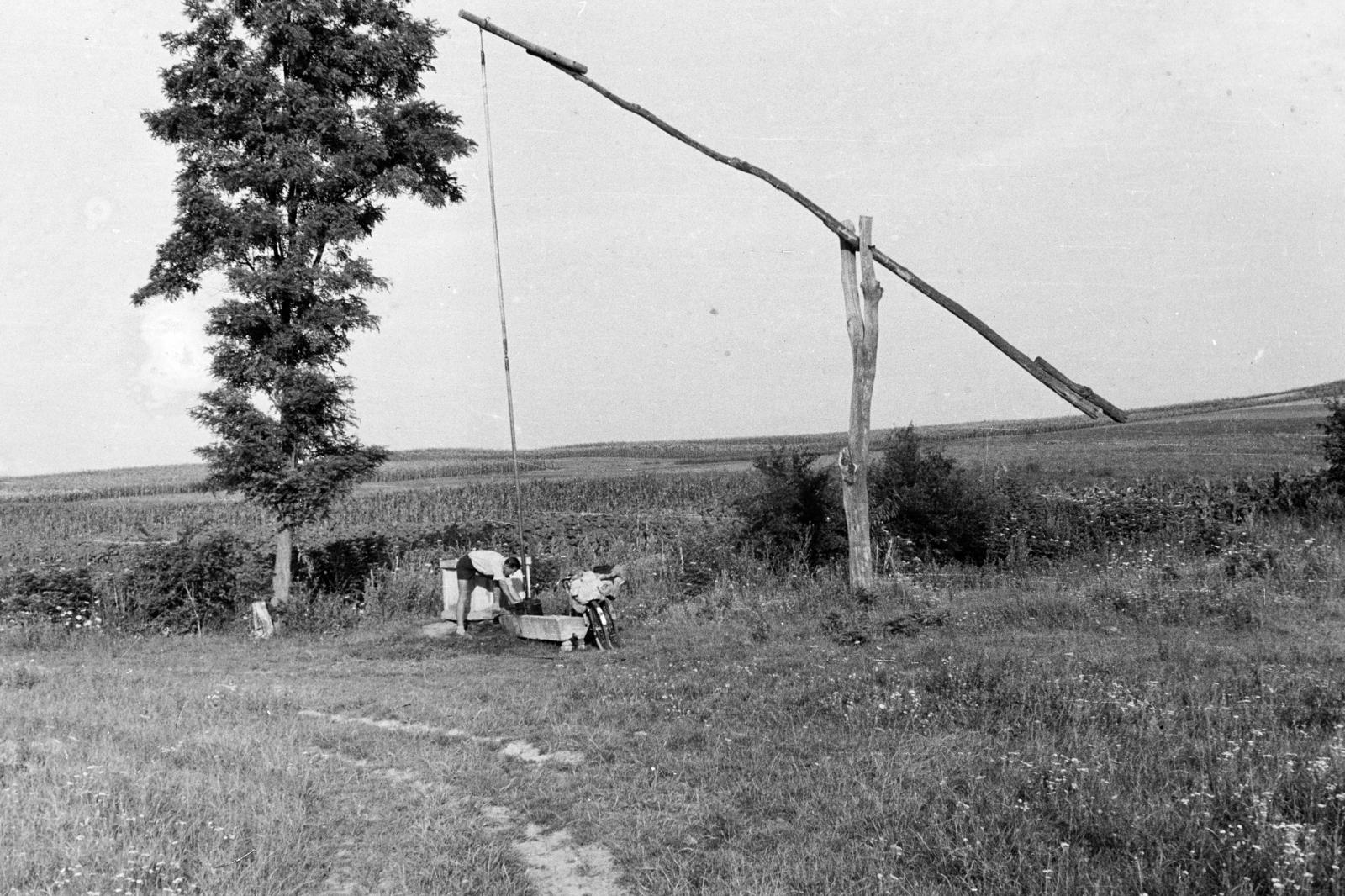 1958, Török Kálmán, Fortepan #295173