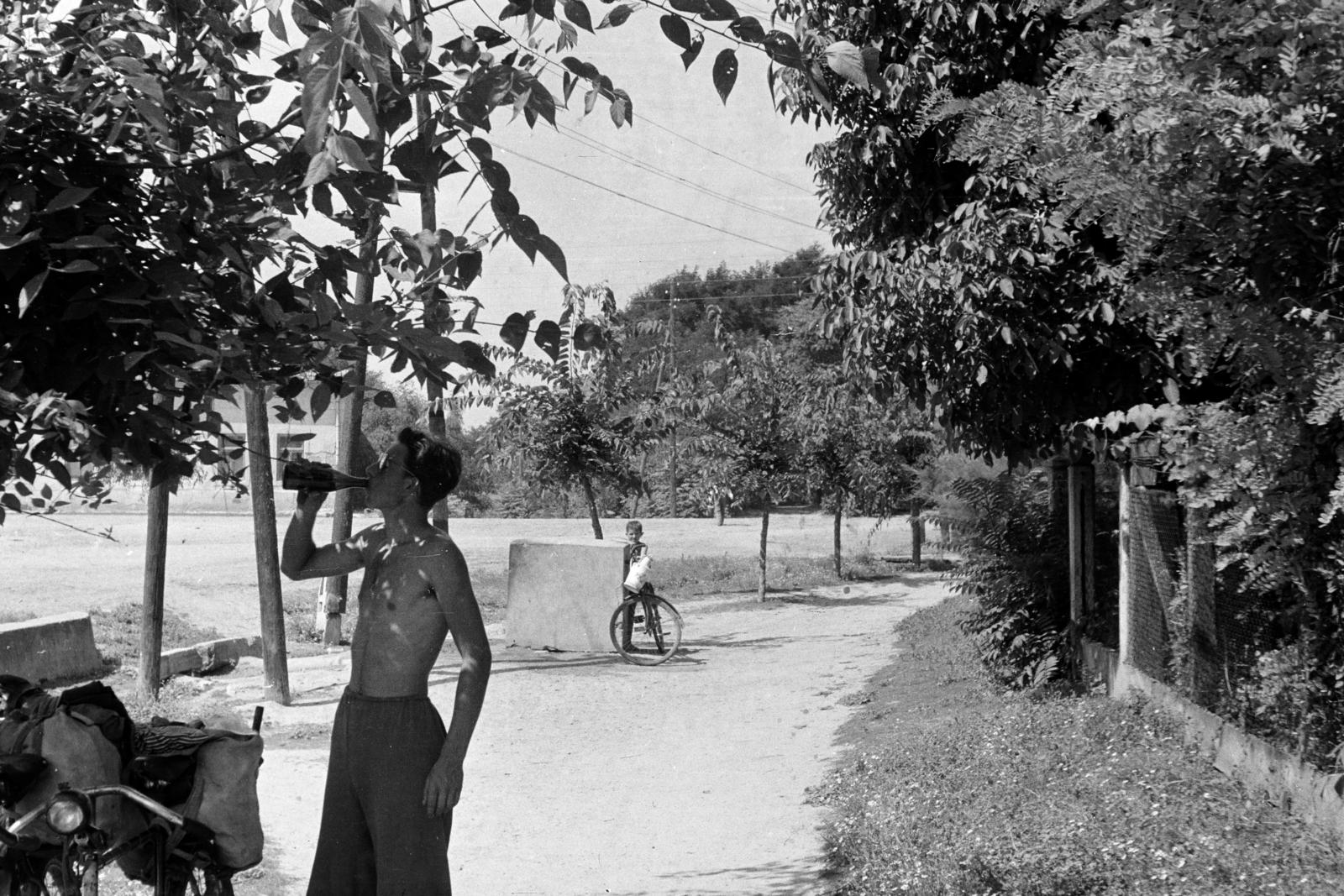 1958, Török Kálmán, kerékpár, Fortepan #295176