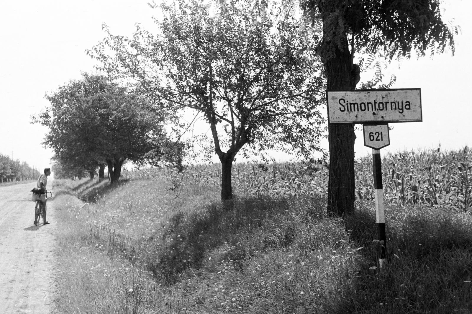Hungary, Simontornya, az Igar felől érkező 64-es (ekkor 621-es) számú főút., 1958, Török Kálmán, bicycle, Fortepan #295178