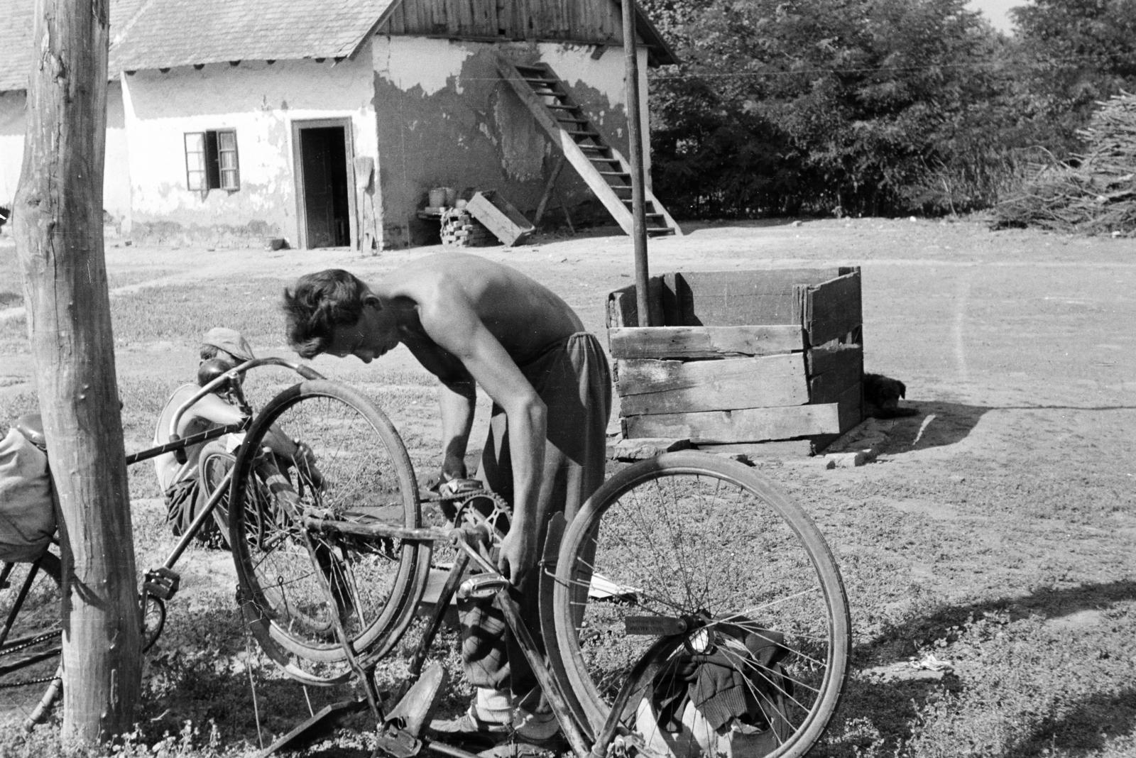 1958, Török Kálmán, bicycle, Fortepan #295186