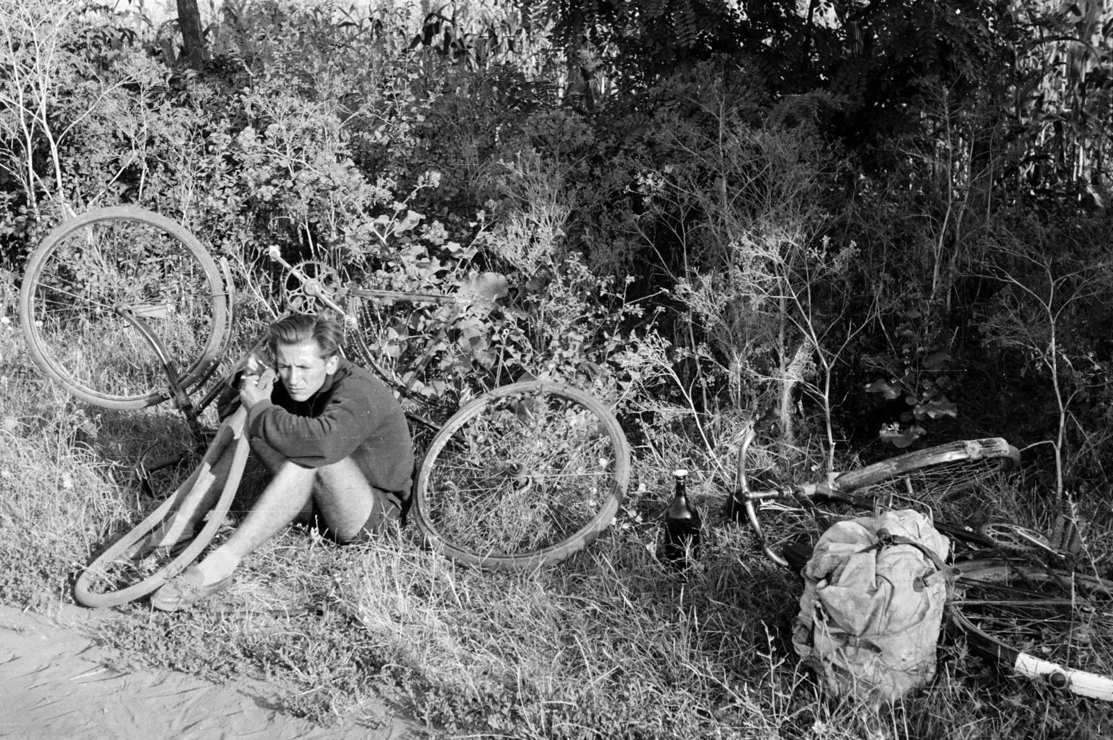 1958, Török Kálmán, kerékpár, Fortepan #295187