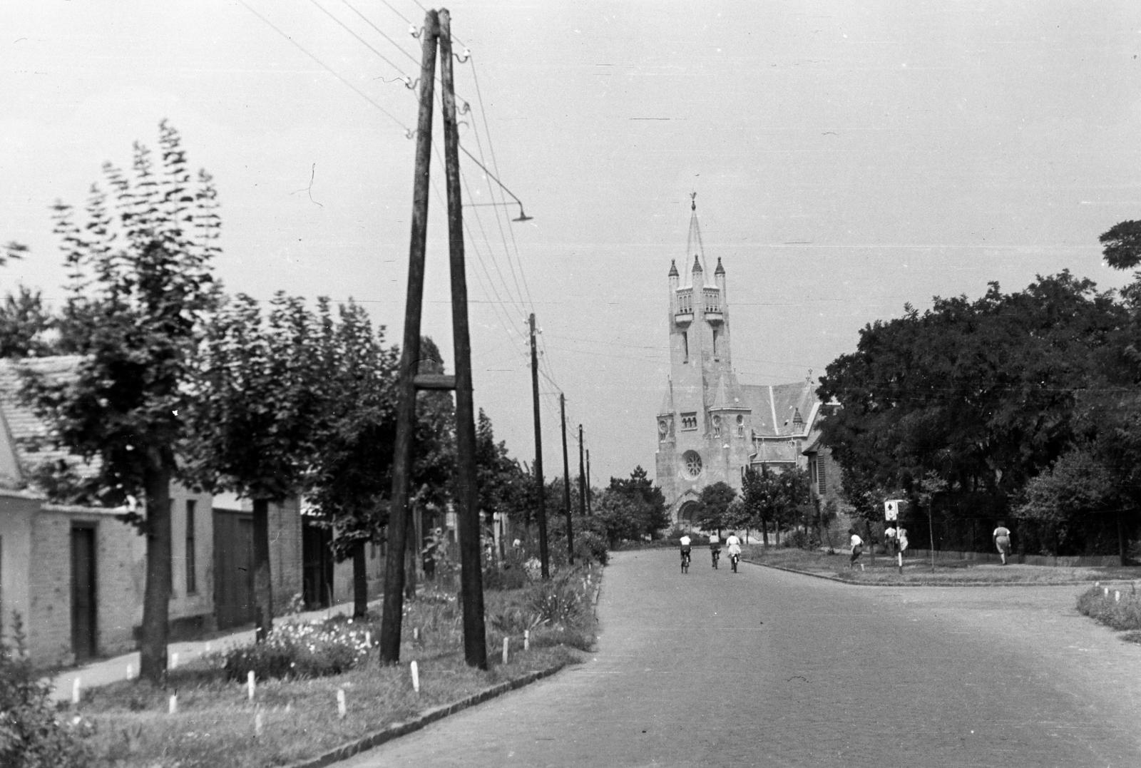 1958, Török Kálmán, kerékpár, Fortepan #295192