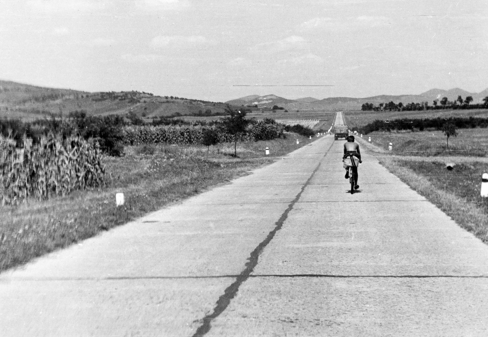 Magyarország, Bodrogolaszi, a 37-es főút Sárospatak felé vezető szakasza., 1958, Török Kálmán, kerékpár, Fortepan #295197