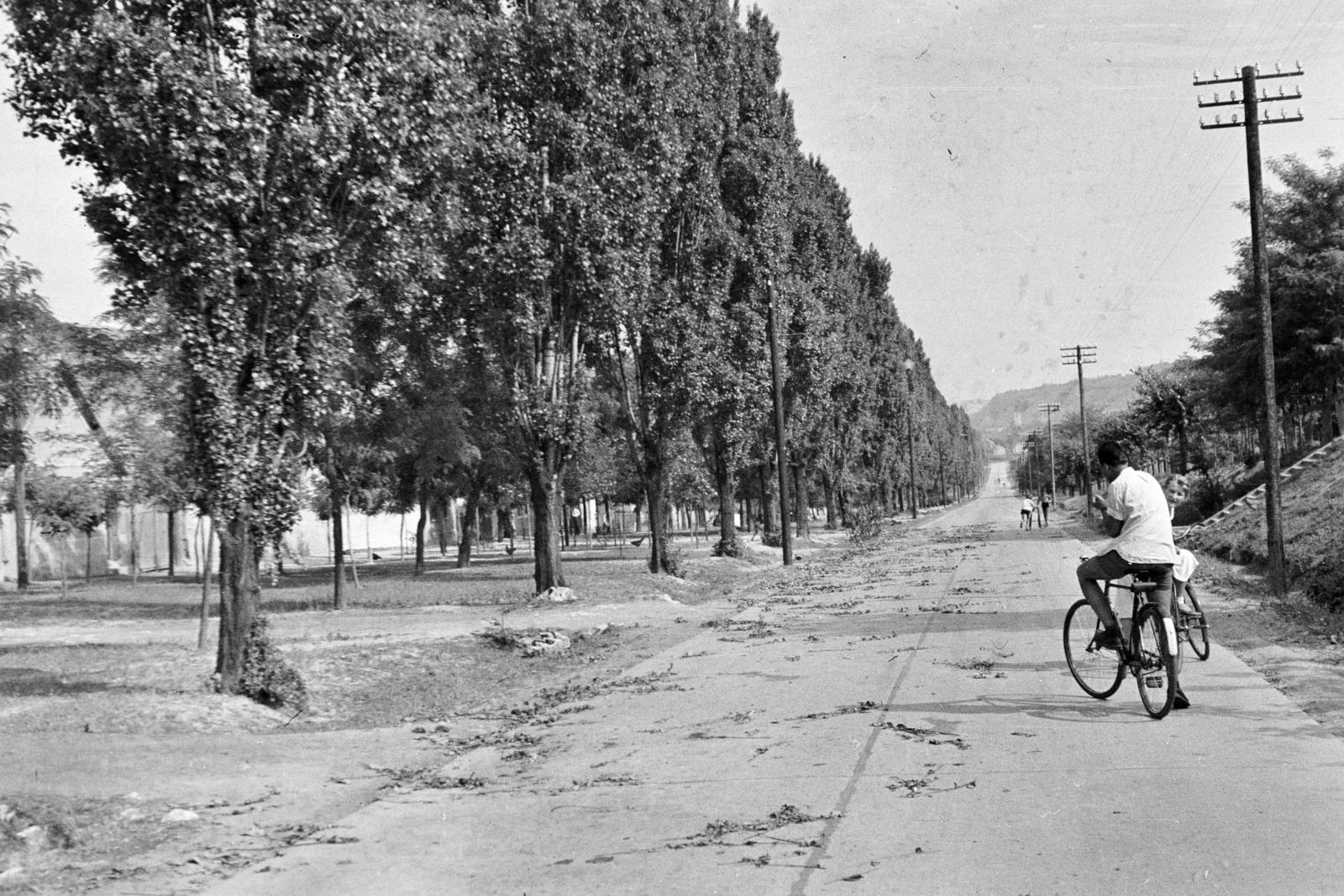 Hungary, Érd, Felső utca, a távolban Érd-Ófalu, a Szent Mihály-templom tornya látható., 1958, Török Kálmán, alley, bicycle, Fortepan #295209