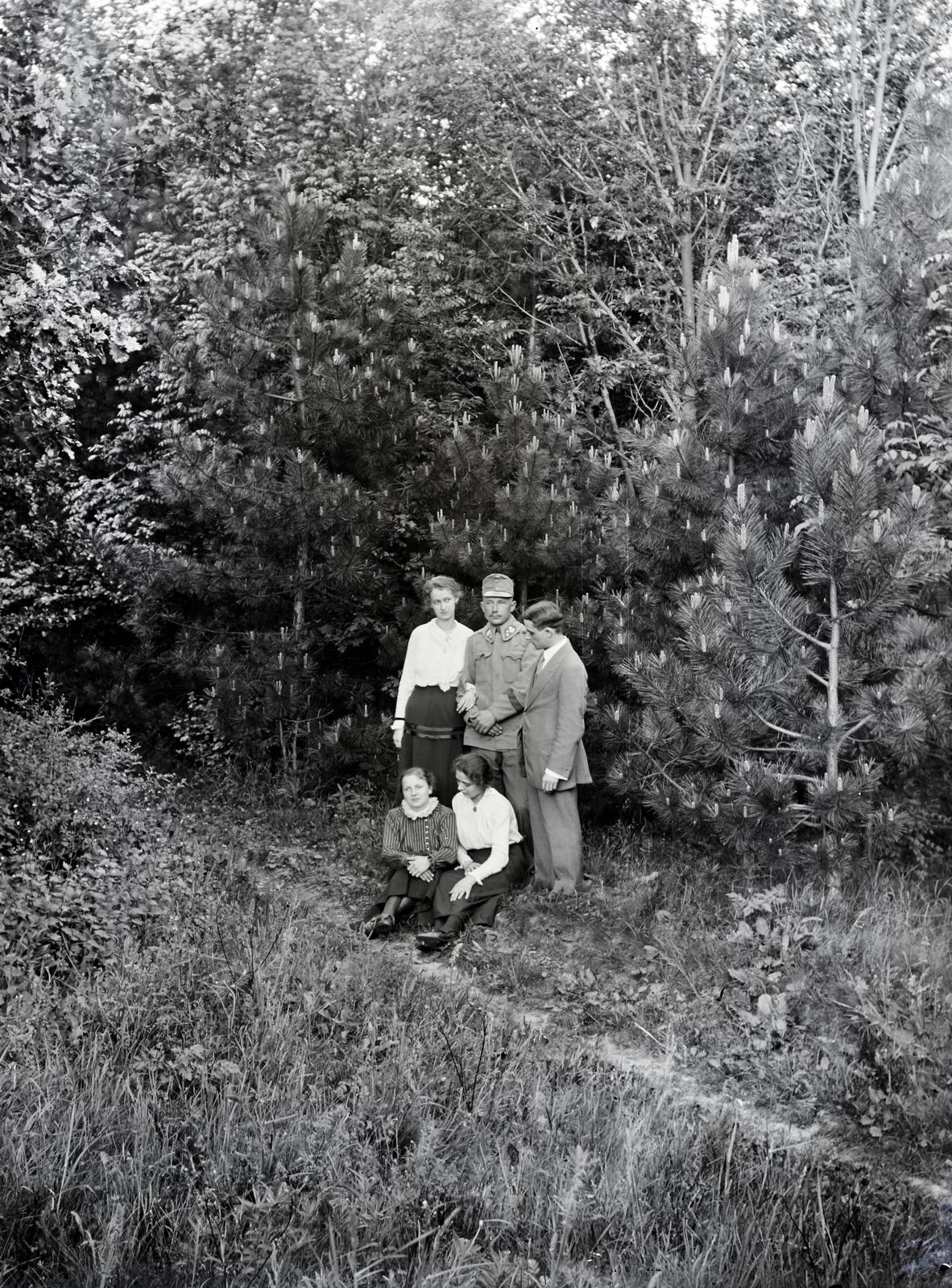 1918, Barbjerik Ferenc, pine forest, tableau, Fortepan #295244