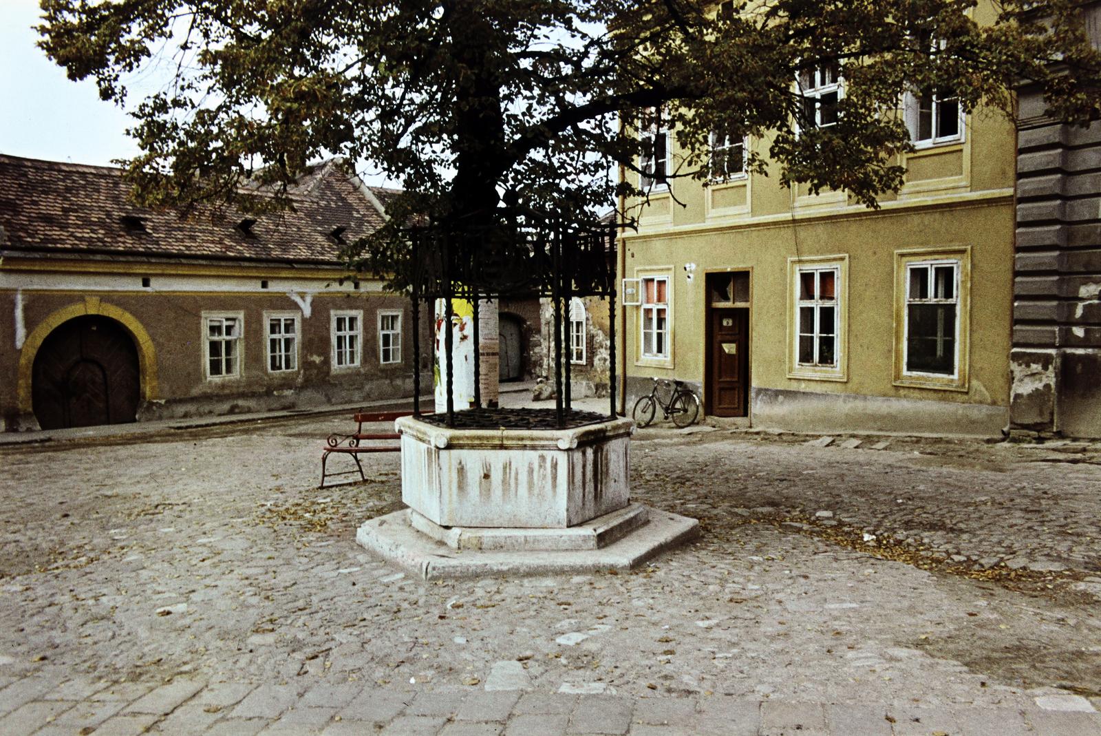 Hungary, Sopron, Sas tér, díszkút., 1974, Donát Bálint, Fortepan #295282