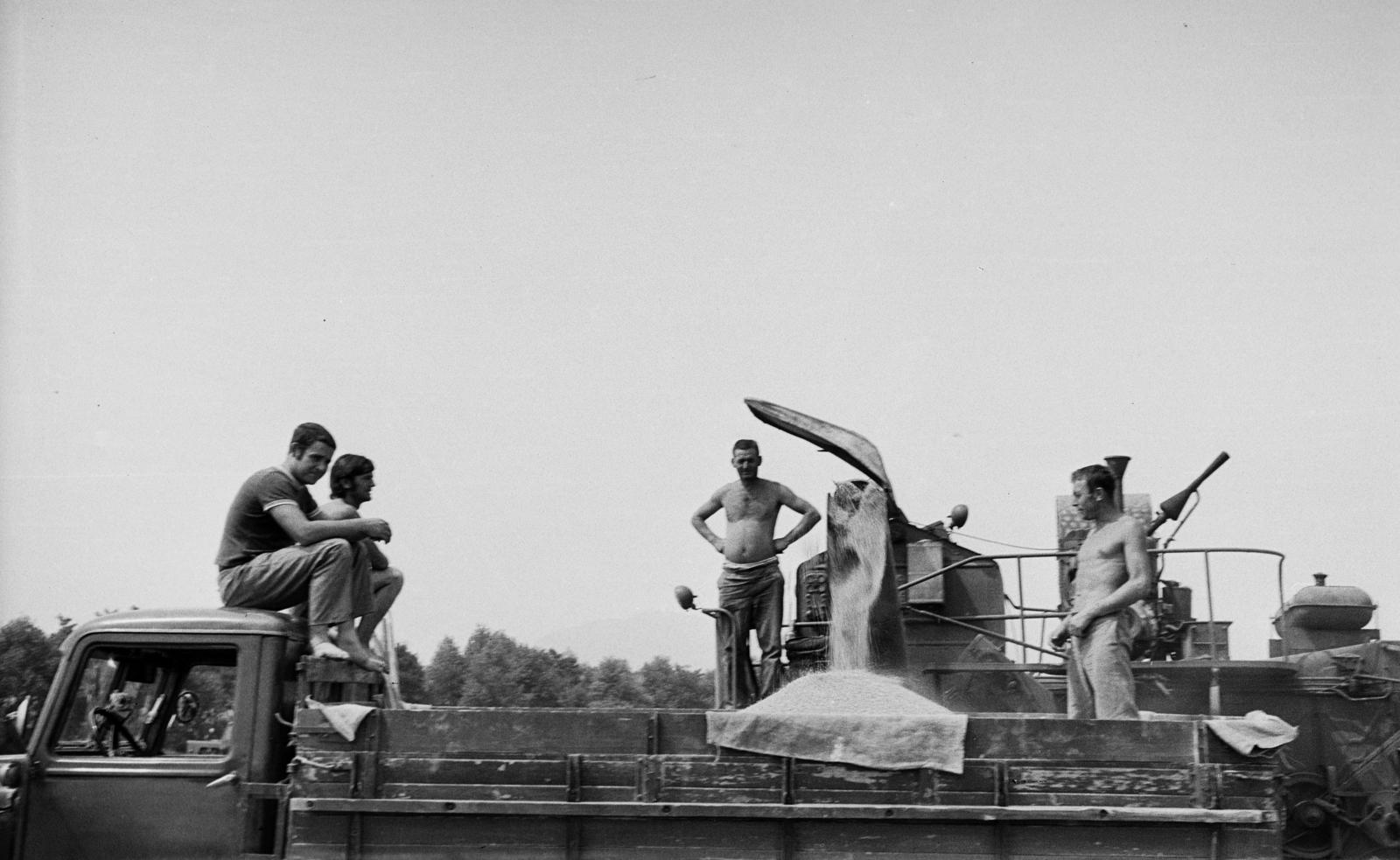 Hungary, a felvétel aratáskor készült., 1968, Németh András dr., harvest, combine harvester, commercial vehicle, Csepel-brand, Fortepan #295297