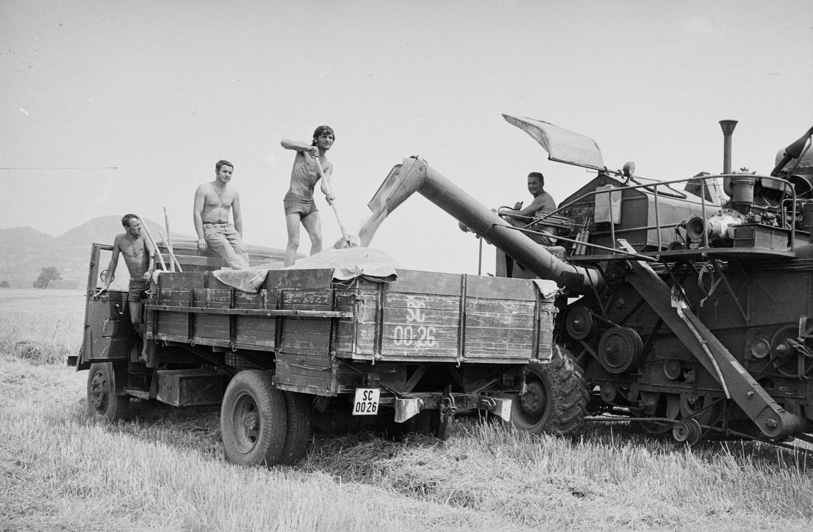 Hungary, a felvétel aratáskor készült., 1968, Németh András dr., sunshades, harvest, grain, combine harvester, commercial vehicle, Fortepan #295300