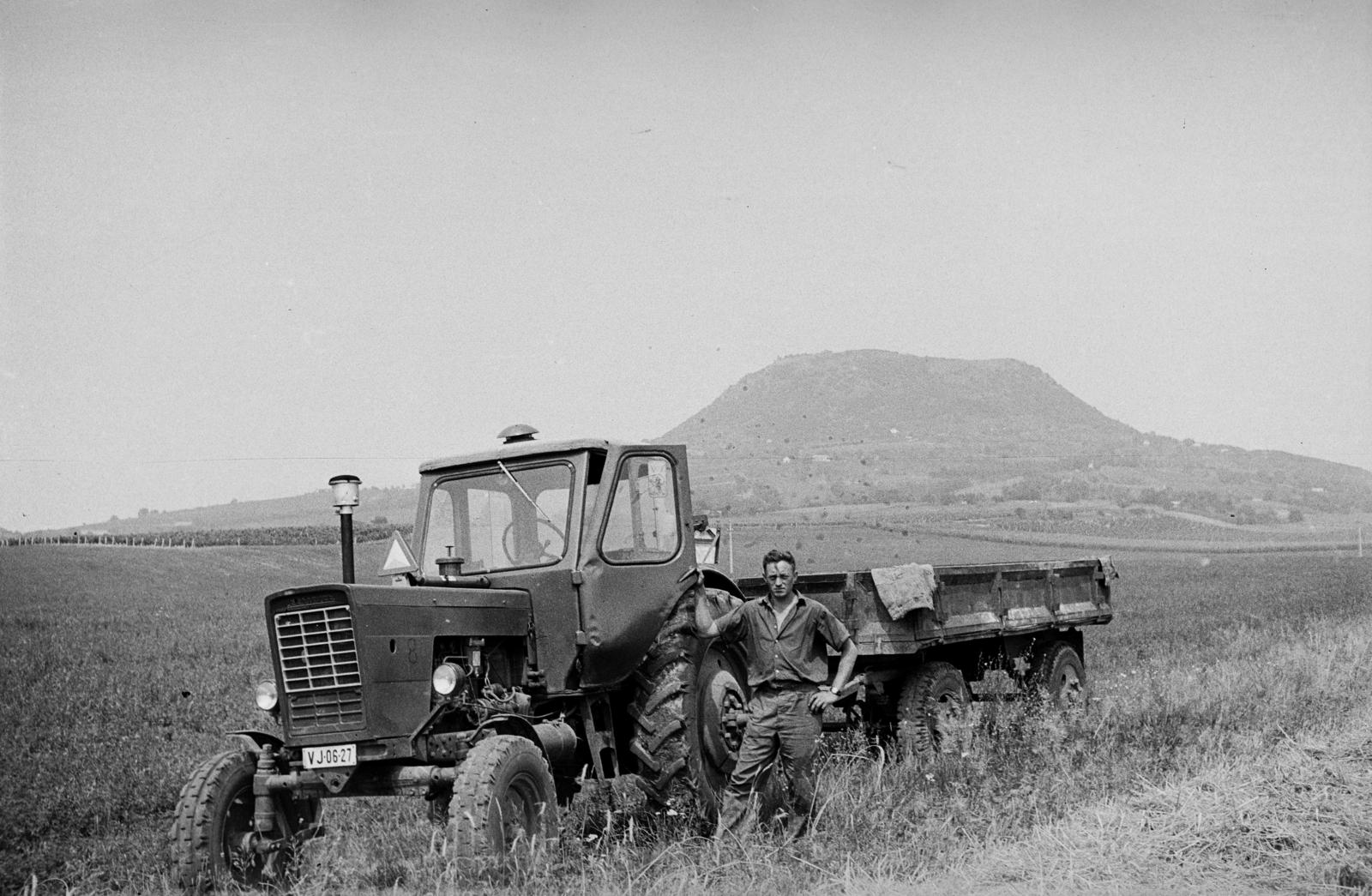 Hungary, a felvétel aratáskor készült, háttérben a Csobánc., 1968, Németh András dr., tractor, number plate, Fortepan #295302