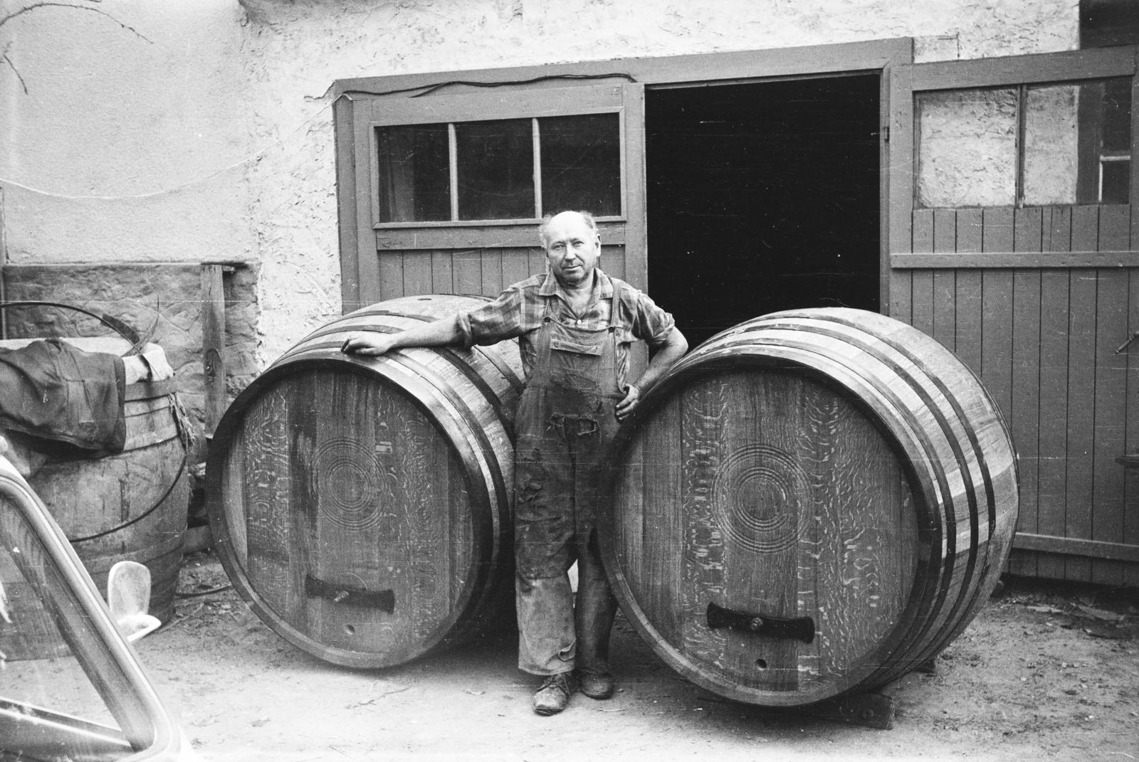 1972, Németh András dr., Fortepan #295310