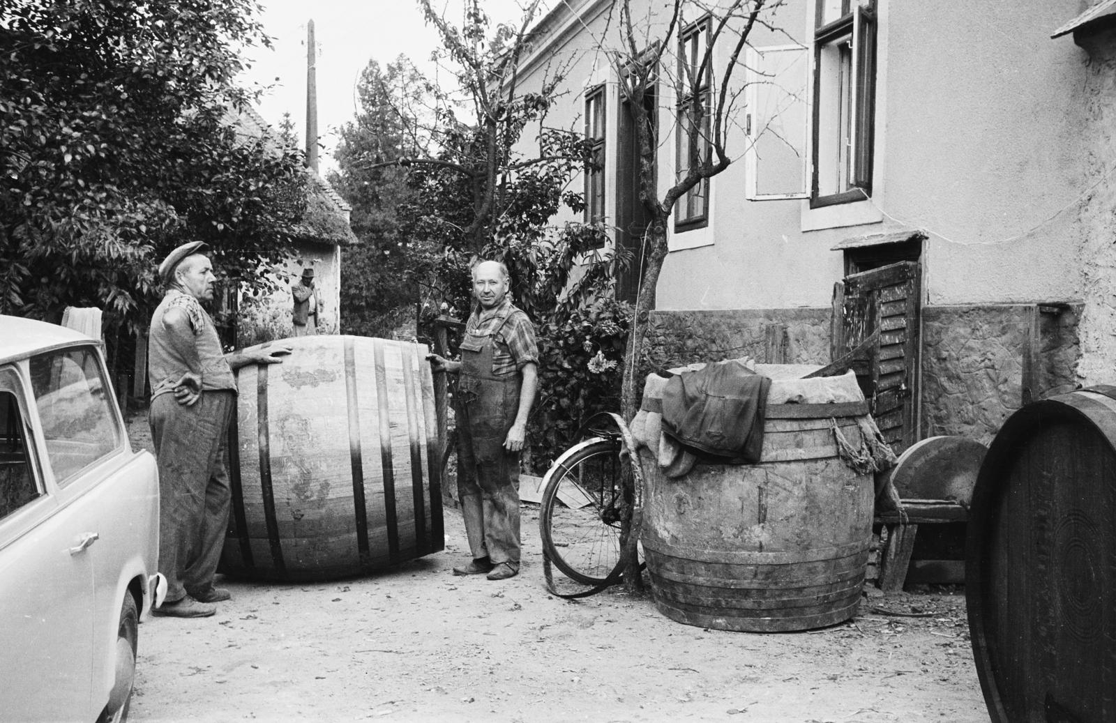 1972, Németh András dr., Fortepan #295312