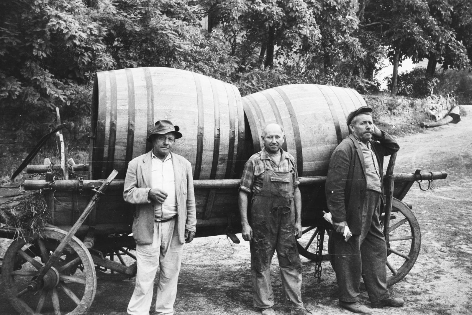 1972, Németh András dr., Best of, szekér, hordó, hárman, Fortepan #295313
