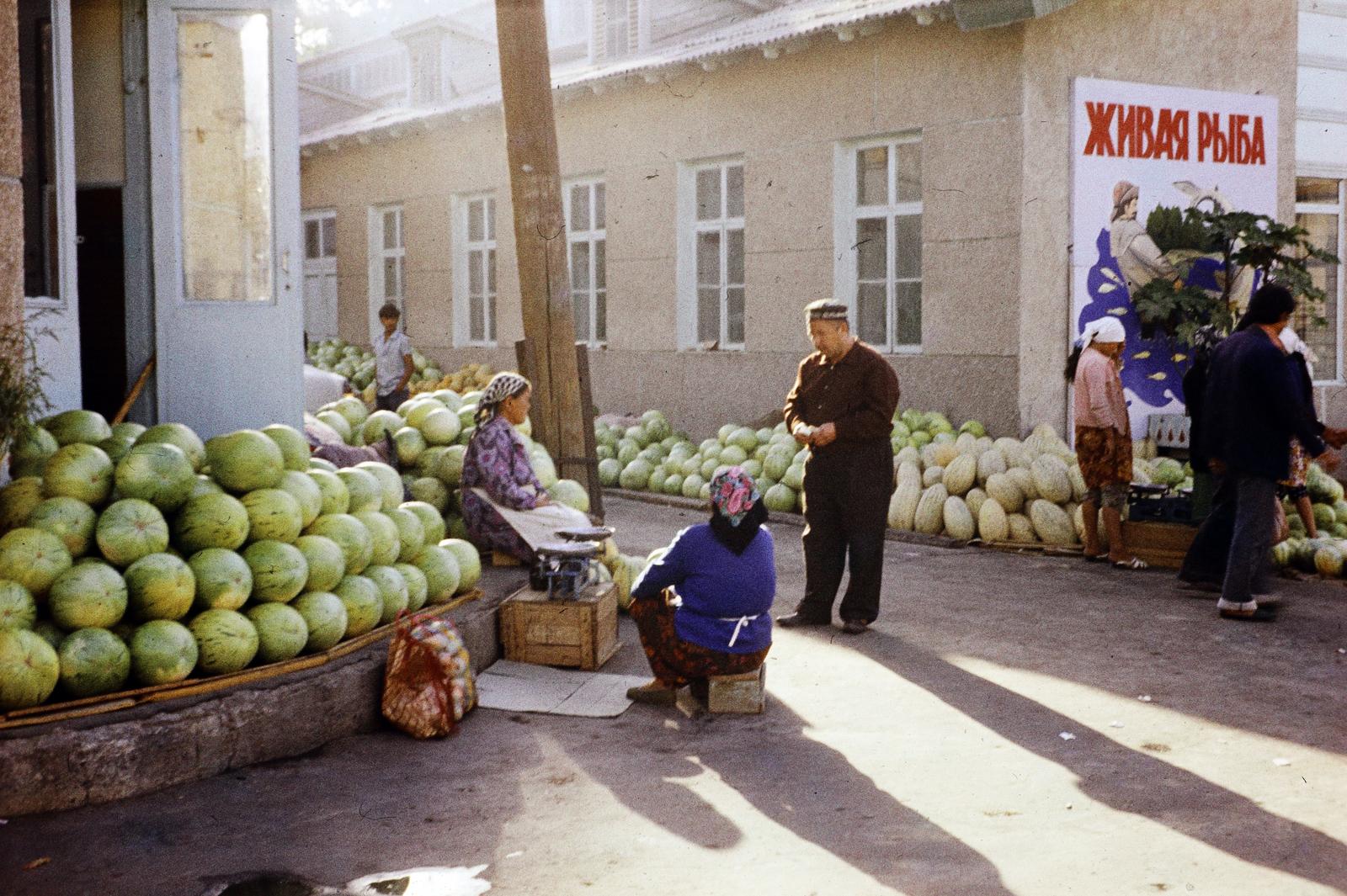 1974, Drinóczi Zoltán, Fortepan #295332