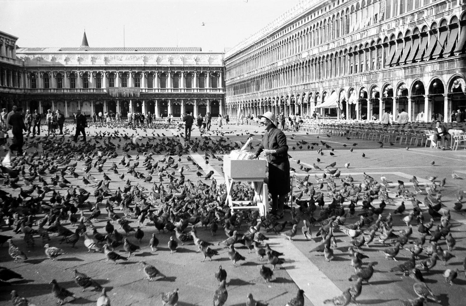 1964, Gyertyán Balázs, galamb, árus, Fortepan #295412