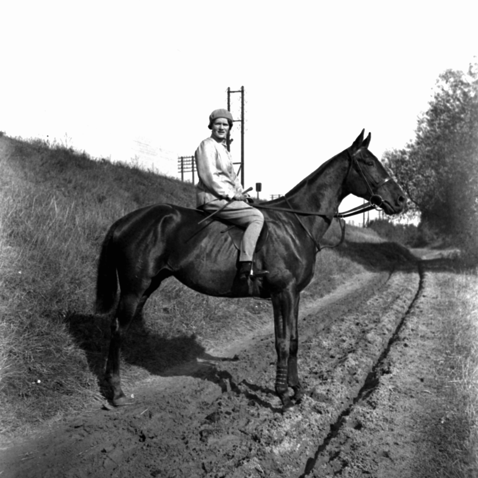 1937, Kölcsey Ferenc Dunakeszi Városi Könyvtár / Petanovits fényképek, horse, rider, Fortepan #29549