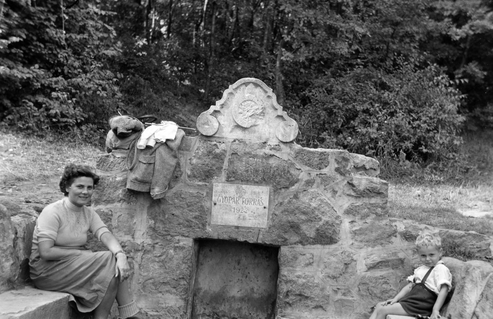 Hungary, Pomáz, Gyopár-forrás., 1954, Karsai Kata, spring, Fortepan #295589